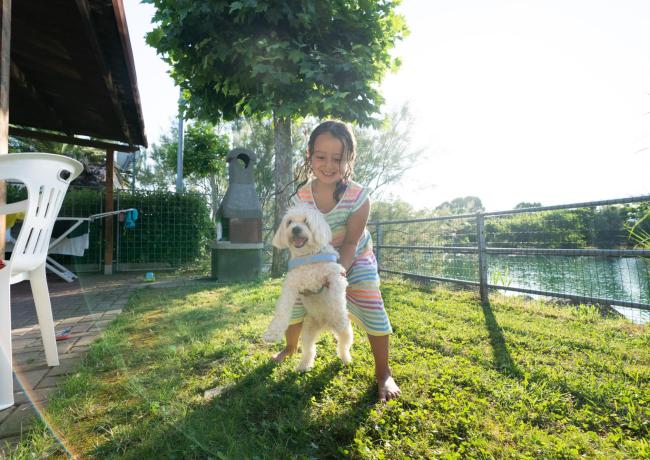 Bambina felice gioca con un cane in giardino soleggiato.